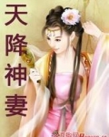 天降神妻