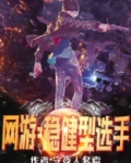网游:稳健型选手