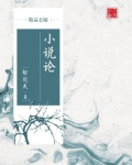 小说论（精品公版）
