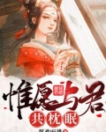 惟愿与君共枕眠
