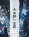 大佬脾气暴躁