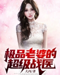 极品老婆的超级战医