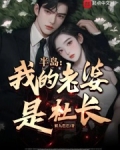 半岛:我的老婆是社长