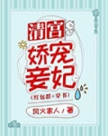 清宫娇宠妾妃(穿书)