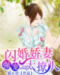 闪婚娇妻太迷人