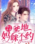萌宝来袭:爹地,妈咪不约